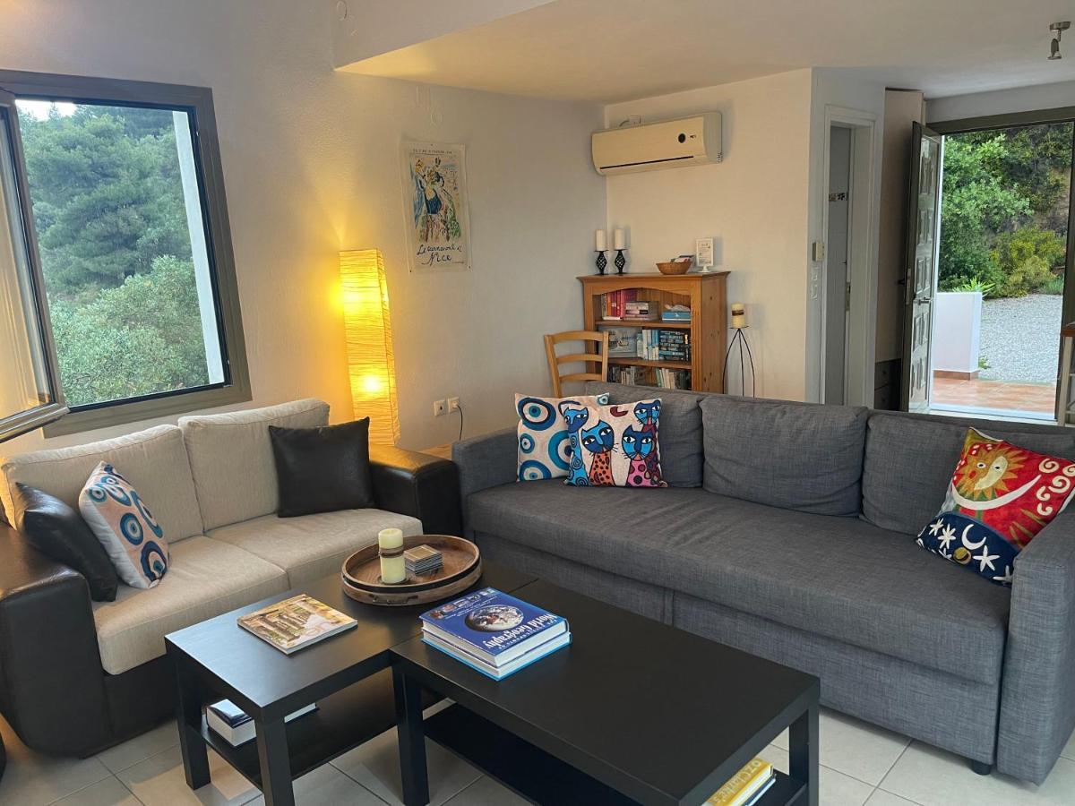 Skiathos Seaview Villa With Pool Punta Exterior foto